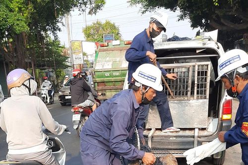 Ngăn ngừa dịch bệnh, bảo vệ đàn vật nuôi