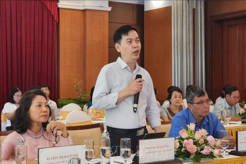 Tìm giải pháp cho công tác bảo quản, phục chế tư liệu quý khi chuyển đổi số