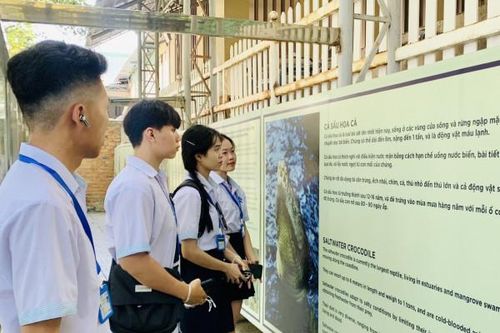 Bảo tàng Hải dương học: Đổi mới truyền thông và trưng bày