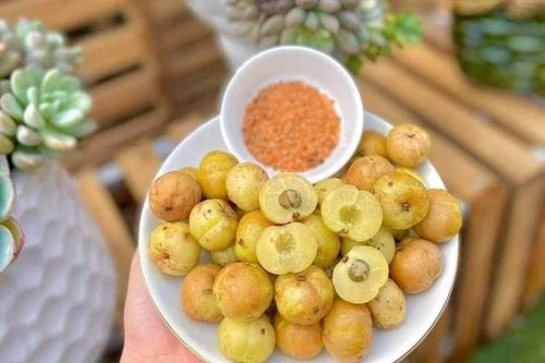 Lạ kỳ loại quả từng để rụng bỏ đi nay thành đặc sản, chị em sẵn sàng chi cả 100.000 đồng/kg để thưởng thức