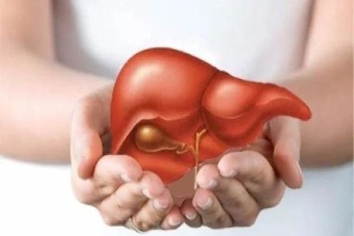 Dấu hiệu 'cầu cứu' của gan, cần thải độc thanh lọc ngay