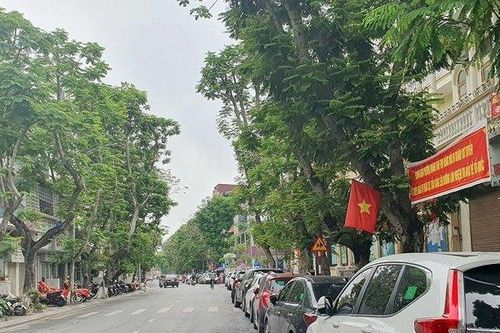Hải Phòng: Người dân 'ngóng' triển khai quy hoạch bãi đỗ xe ô tô