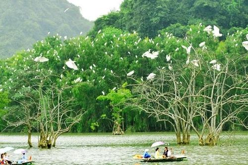 Quy hoạch xanh và quản lý tốt điểm đến