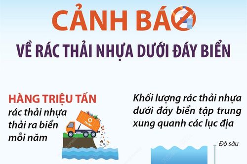 Cảnh báo về rác thải nhựa dưới đáy biển