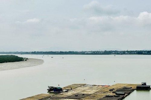 Chính quyền làm ngơ trước việc người dân kết bè thả hàu trên khu vực biên giới biển