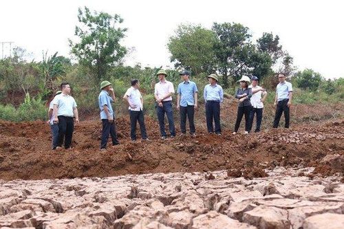 Các tỉnh Tây Nguyên gồng mình chống hạn