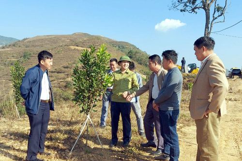 Nông nghiệp Điện Biên và hành trình 'cất cánh' (bài 3)