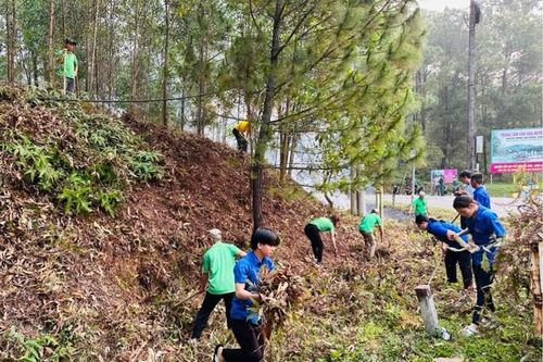 Phát triển lâm nghiệp theo hướng bền vững