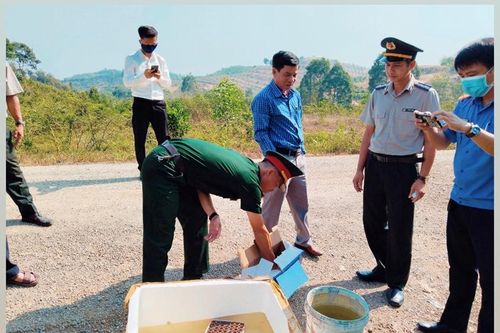 VKSND huyện Đạ Tẻh kiểm sát tiêu hủy vật chứng, tài sản liên quan đến vụ buôn bán pháo lậu
