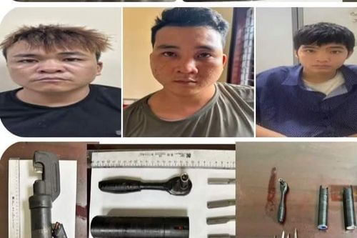 Triệt phá băng nhóm tàng trữ ma túy, trộm cắp xe máy bán ra nước ngoài