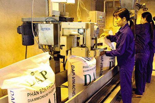 Doanh nghiệp báo lãi quý I tăng đột biến cũng không cứu được đà giảm của cổ phiếu DDV