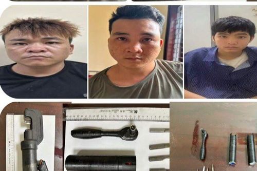 Ổ nhóm tàng trữ ma túy, trộm cắp xe máy bán ra nước ngoài