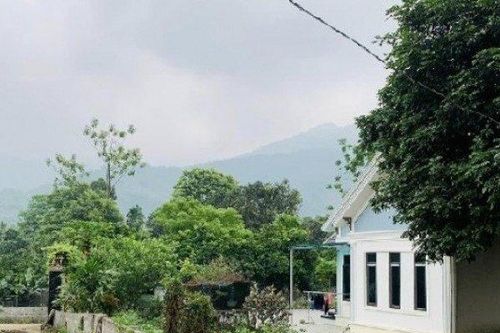 Tuổi 30, sau kết hôn có 500 triệu: Tôi nên mua vàng hay mua đất?