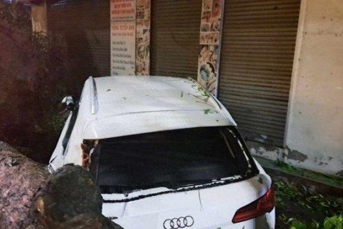 Hà Nội: Dông lốc dữ dội, cây đổ đè trúng xe Audi và Mercedes