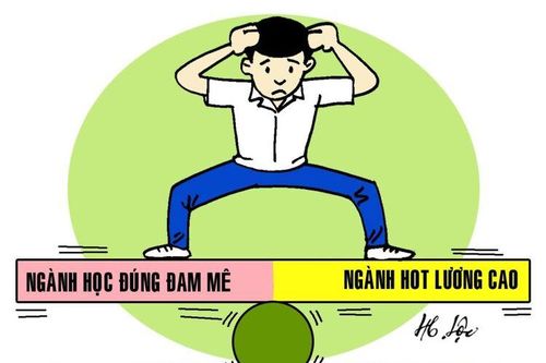 ở Việt Nam mình học đại học ngành gì ra trường làm việc lương cao ông giáo?