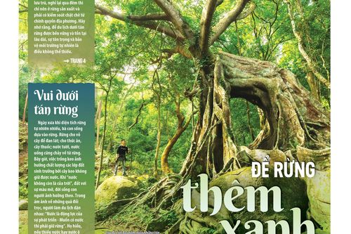 Việc gìn giữ cũng lắm công phu