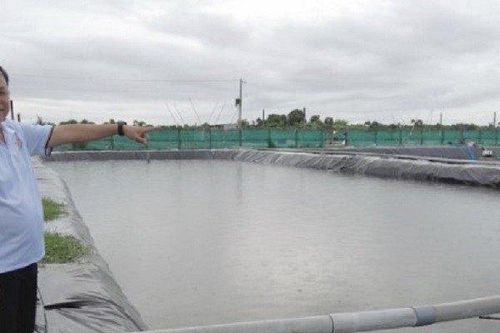Lão nông bỏ túi 140 tỷ đồng nhờ nuôi con đặc sản 'nhiều người mê'