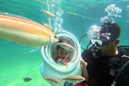 Quảng Ninh: Sôi động du lịch đảo Cô tô năm 2024