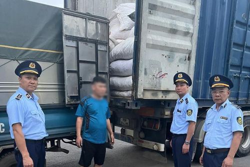 Phát hiện 21 tấn 'lông cu li' và 'củ ba mươi'