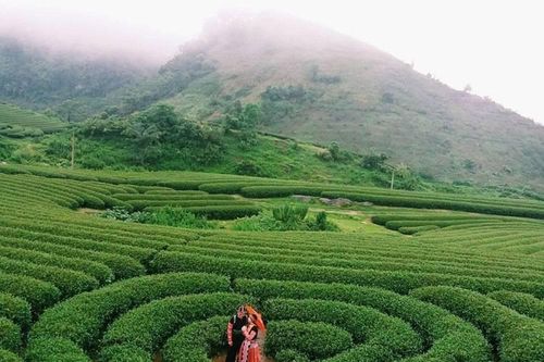 Cơ hội mới cho Khu du lịch Mộc Châu