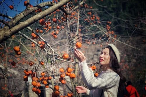 Cơ hội mới cho Mộc Châu khi được công nhận là Khu du lịch quốc gia