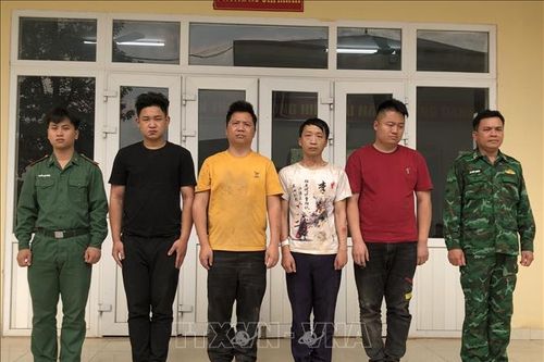 Triệt phá đường dây tổ chức đưa người xuất cảnh trái phép