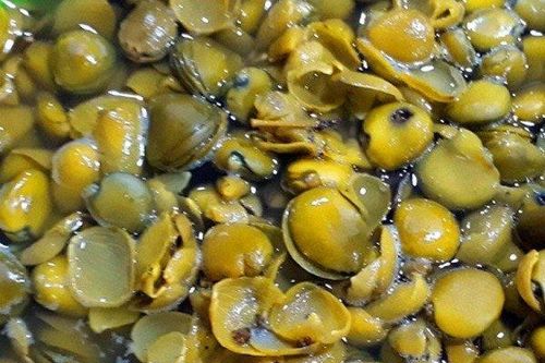 Loại quả xưa 'rụng thối gốc' nay thành đặc sản giá 100.000 đồng/kg