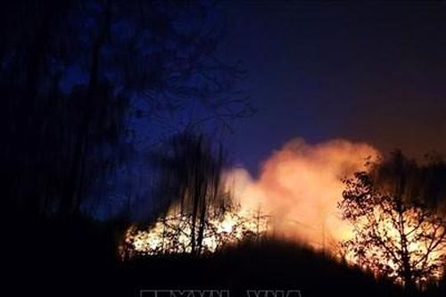 Bình Dương: Cháy 4,5ha rừng ở núi Cậu - Dầu Tiếng