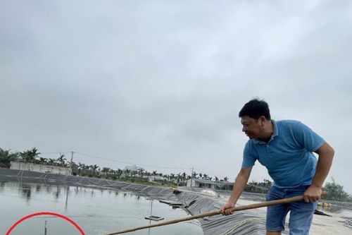 Anh nông dân đều tay thu lãi 1 tỷ đồng nhờ nuôi con đặc sản 'to bự'