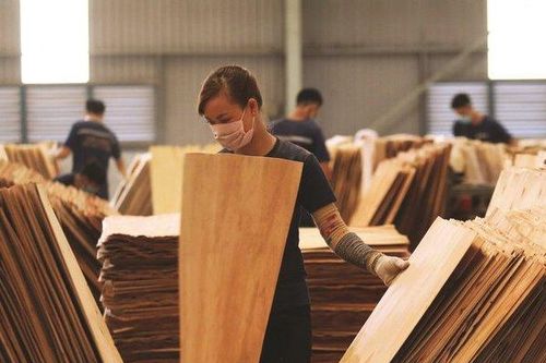 Hàng trăm doanh nghiệp gỗ dán đứng trước nguy cơ phải đóng cửa