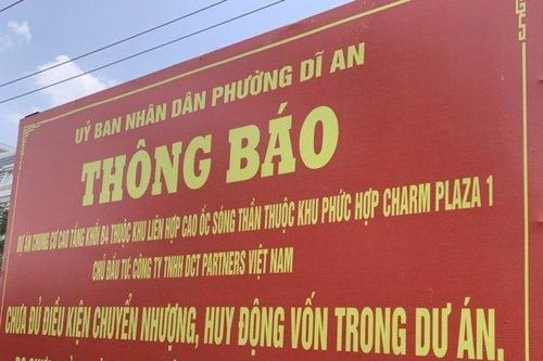 Sở Xây dựng Bình Dương cung cấp thông tin nhiều dự án bất động sản