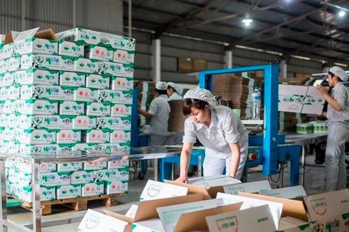 Lợi nhuận quý I/2024 của Mộc Châu Milk sụt giảm