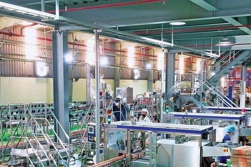 Nợ vay tăng mạnh trong quý đầu năm, Sữa Quốc tế kinh doanh ra sao?