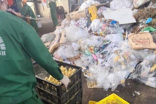 Hải Dương: Tiêu hủy 10.000 con vịt giống
