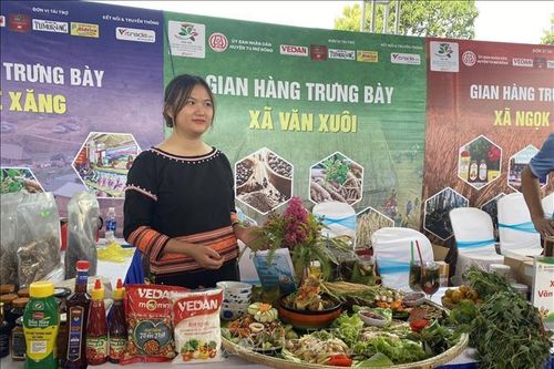 Đặc sắc 120 món ăn chế biến từ đẳng sâm