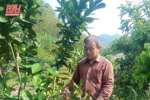 Gương nông dân vùng biên làm kinh tế giỏi, tích cực tham gia phong trào địa phương