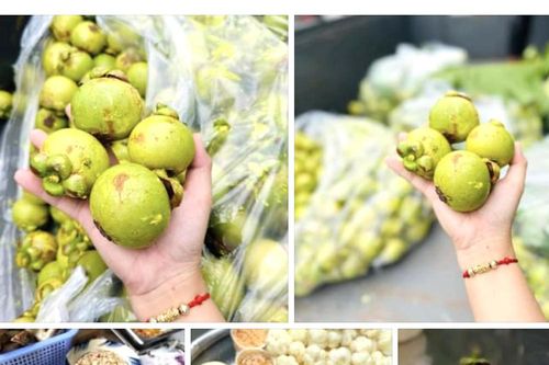 Vào mùa thưởng thức món ngon từ trái cây