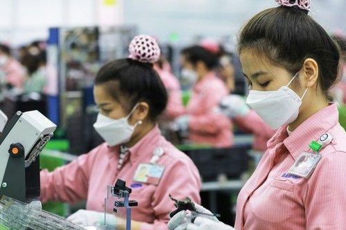Phát triển nguồn nhân lực 'đi đường dài' với nền kinh tế xanh