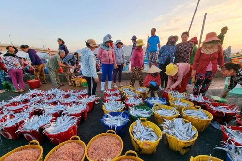 Thúc đẩy hợp tác kinh tế, thương mại-đầu tư giữa Việt Nam và Algeria