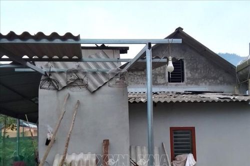 Dông lốc gây thiệt hại về người, nhà cửa và hoa màu ở Yên Bái
