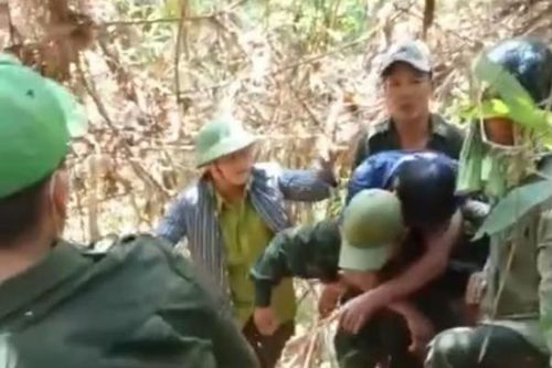 Bị bỏng nặng vì đốt lửa lấy mật ong rừng