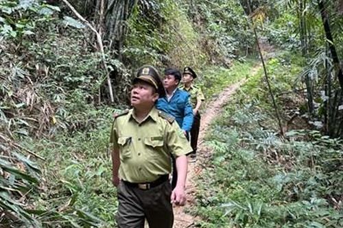 Bảo vệ rừng bền vững ở vùng biên giới Quan Sơn