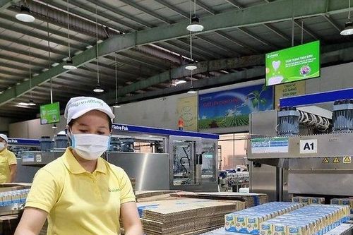Chủ thương hiệu Vinasoy nắm giữ gần 7.300 tỷ đồng tiền mặt, có cả vàng và USD
