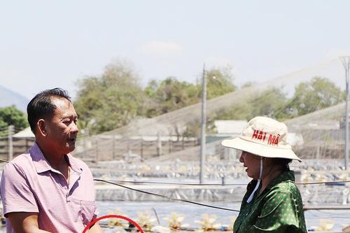 Anh nông dân cứ 3 tháng đút túi 1 tỷ đồng nhờ nuôi con 'hiền như đất'