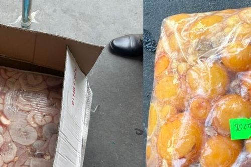 Gần 8 tấn nội tạng động vật không rõ nguồn gốc bị phát hiện