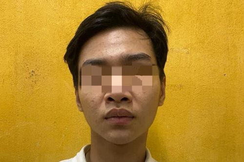 Lừa bán lan đột biến qua mạng xã hội, chiếm đoạt 118 triệu đồng