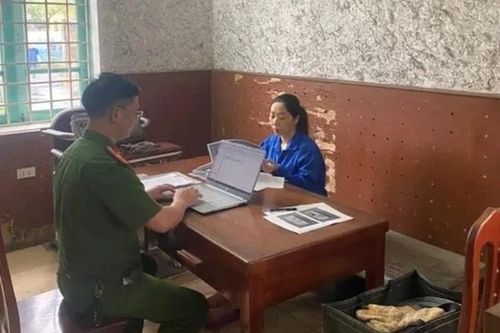Dùng chiêu lừa góp vốn, nữ quái chiếm đoạt hơn 8 tỷ đồng