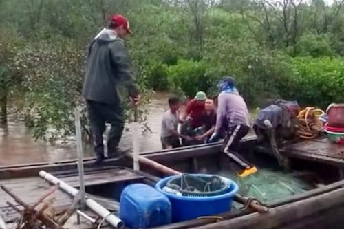Quảng Ninh: Sét đánh khiến một người tử vong, một cano bị cháy