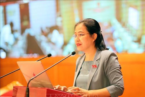 Cử tri Quảng Ninh kiến nghị có chính sách đặc thù phát triển vùng biên giới