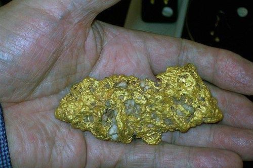 Dắt chó đi dạo, 3 bố con nhặt được cục vàng giá 940 triệu đồng